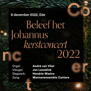 Concert bij Johannus Orgelbouw Ede @ Johannus Orgelbouw Ede | Ede | Gelderland | Nederland